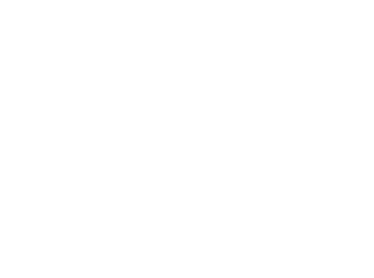 RIVELOS GROUP